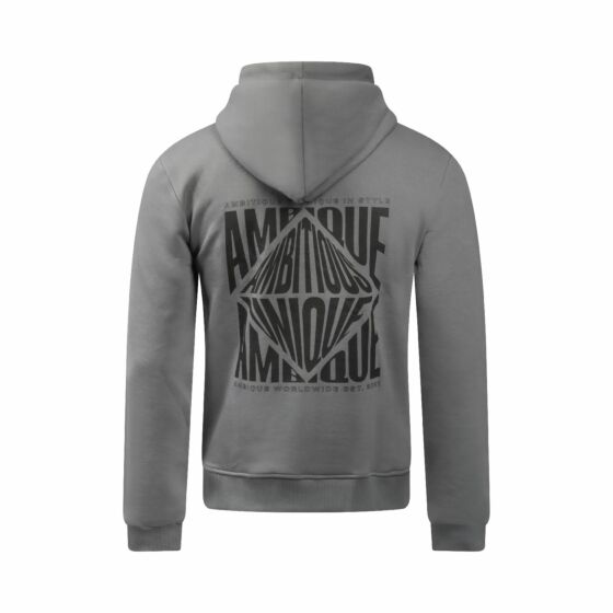 Ambique - Sam Hoodie Backprint - Stone Grijs