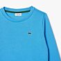 Lacoste - Sweater - Blauw